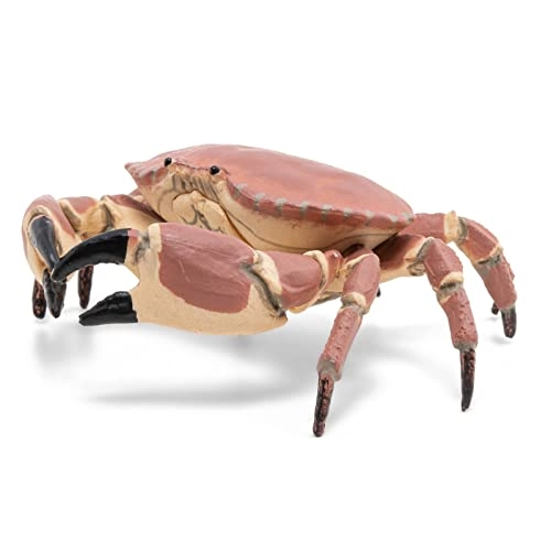Marine Life - Crab (56047)
