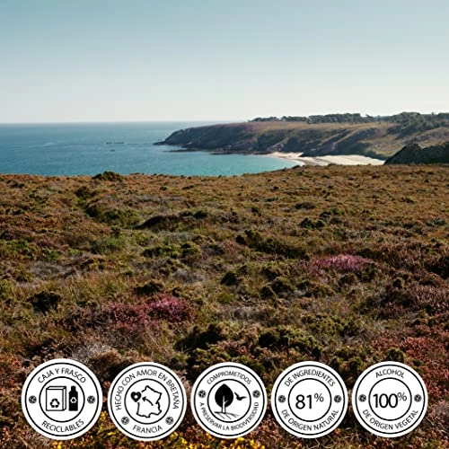 COMME UNE EVIDENCE Eau de Parfum 50 ml