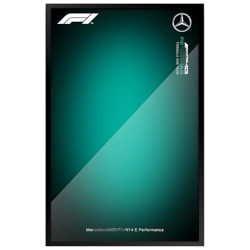 Display Wallboard Wall Mount for LEGO 42171 - 50X80cm