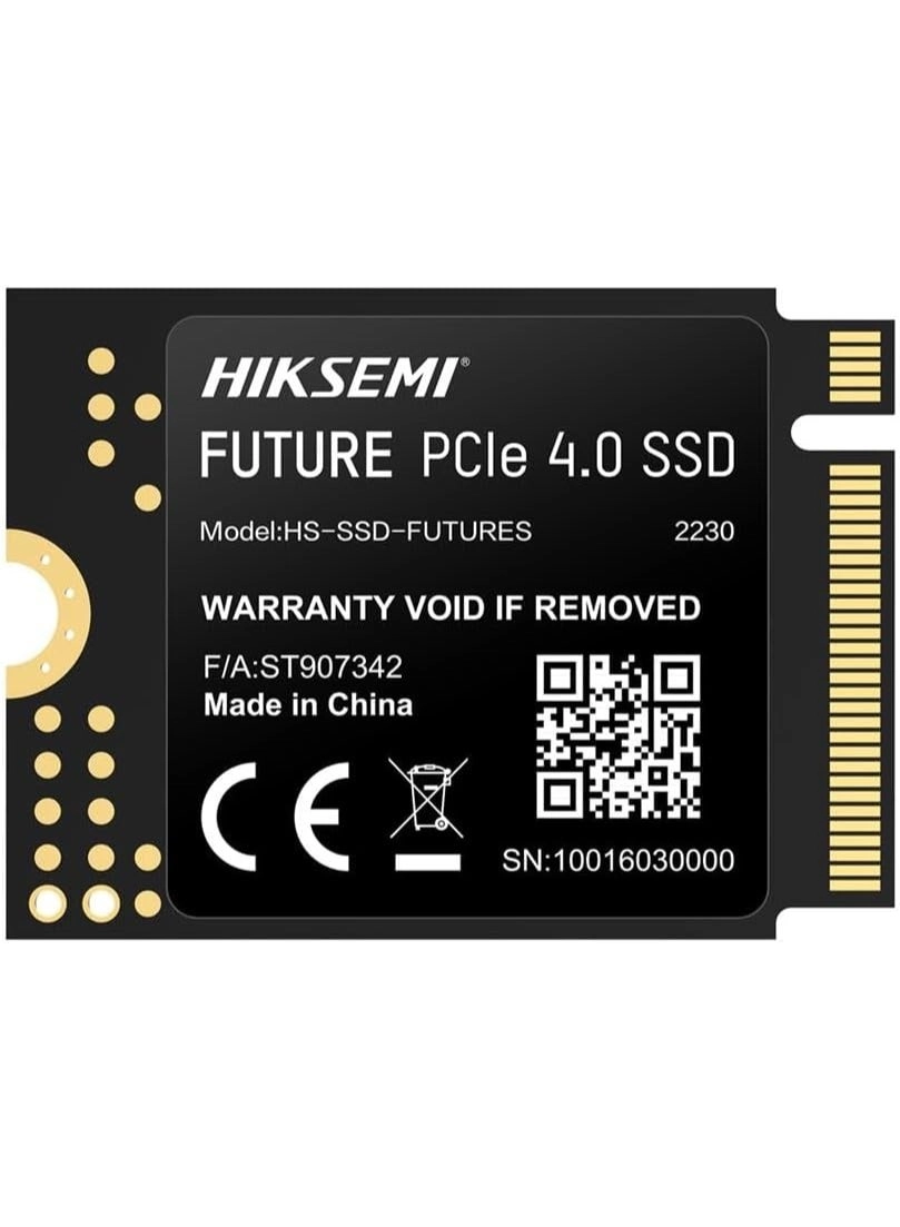 FUTURES - 1024GB M.2 2230