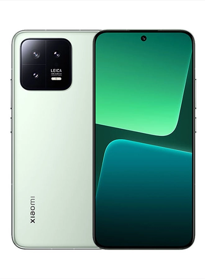 13 - 12GB 256GB