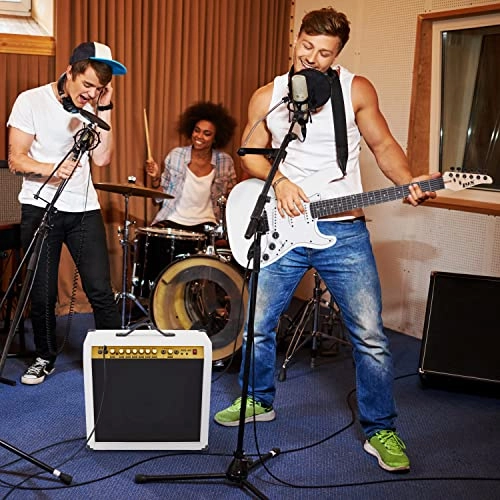 Electric Guitar Amplifier - 60W 10" 4-Ohm Speaker