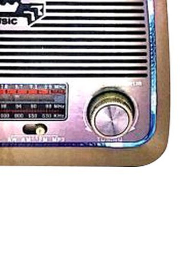 Bluetooth Radio Speaker - FM