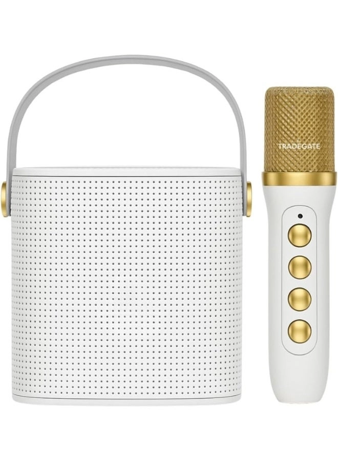 Portable karaoke speaker