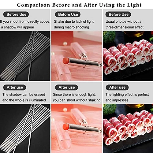 LED Ring Light - 10in