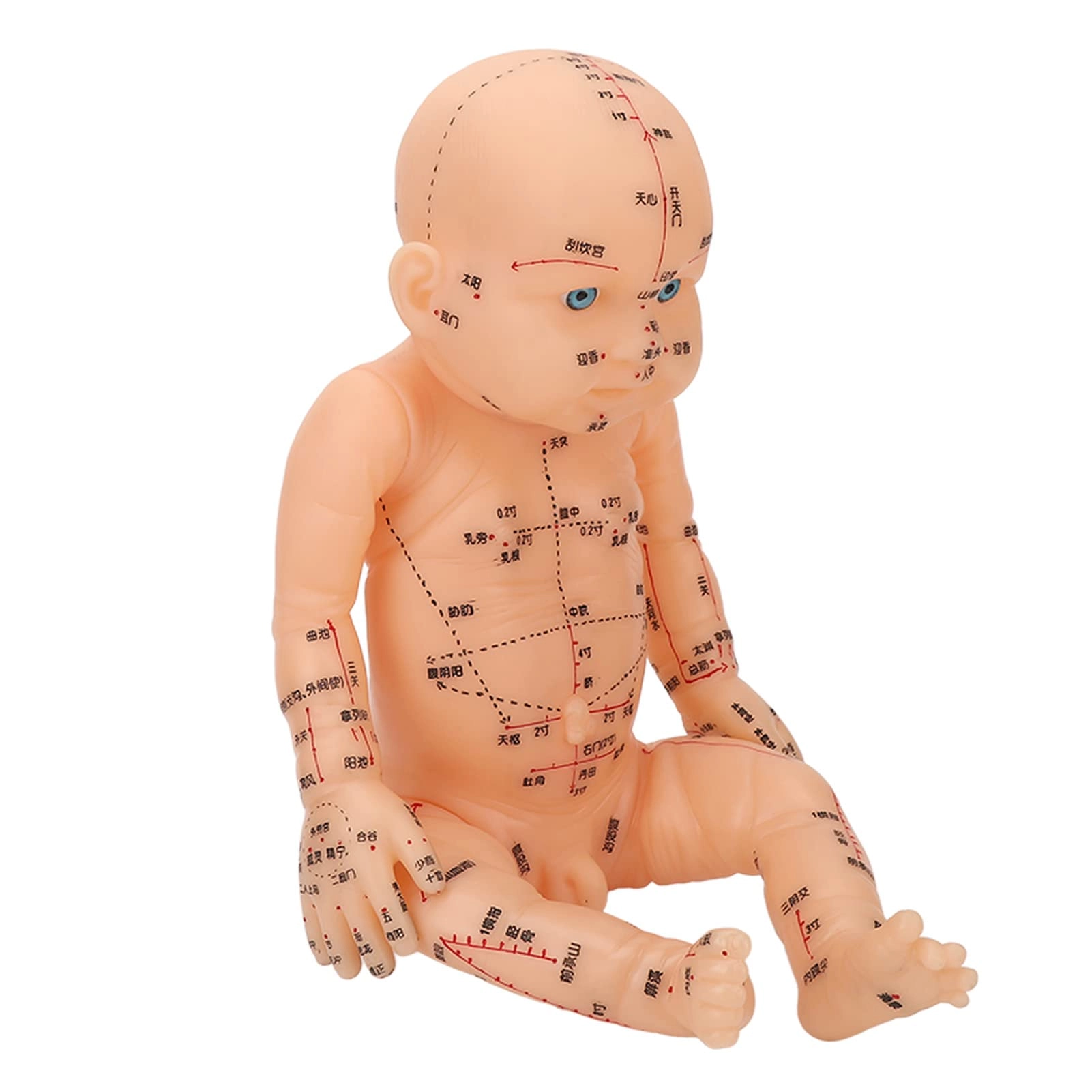 Acupoint children model