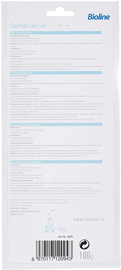 Dental Hygiene Set Mint Toothpaste 100G