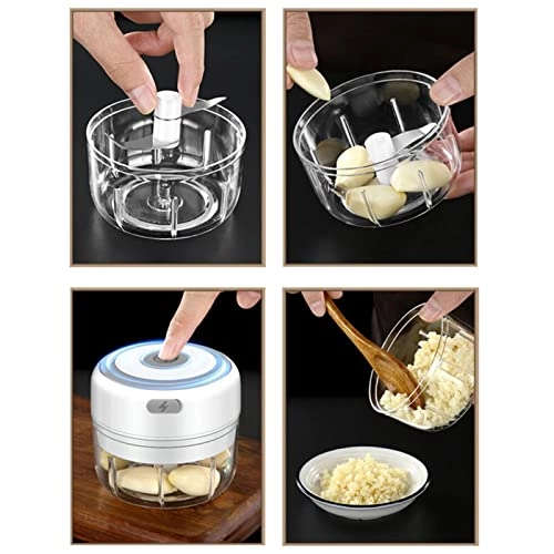 Mini Garlic Chopper - 100ML 30 watts
