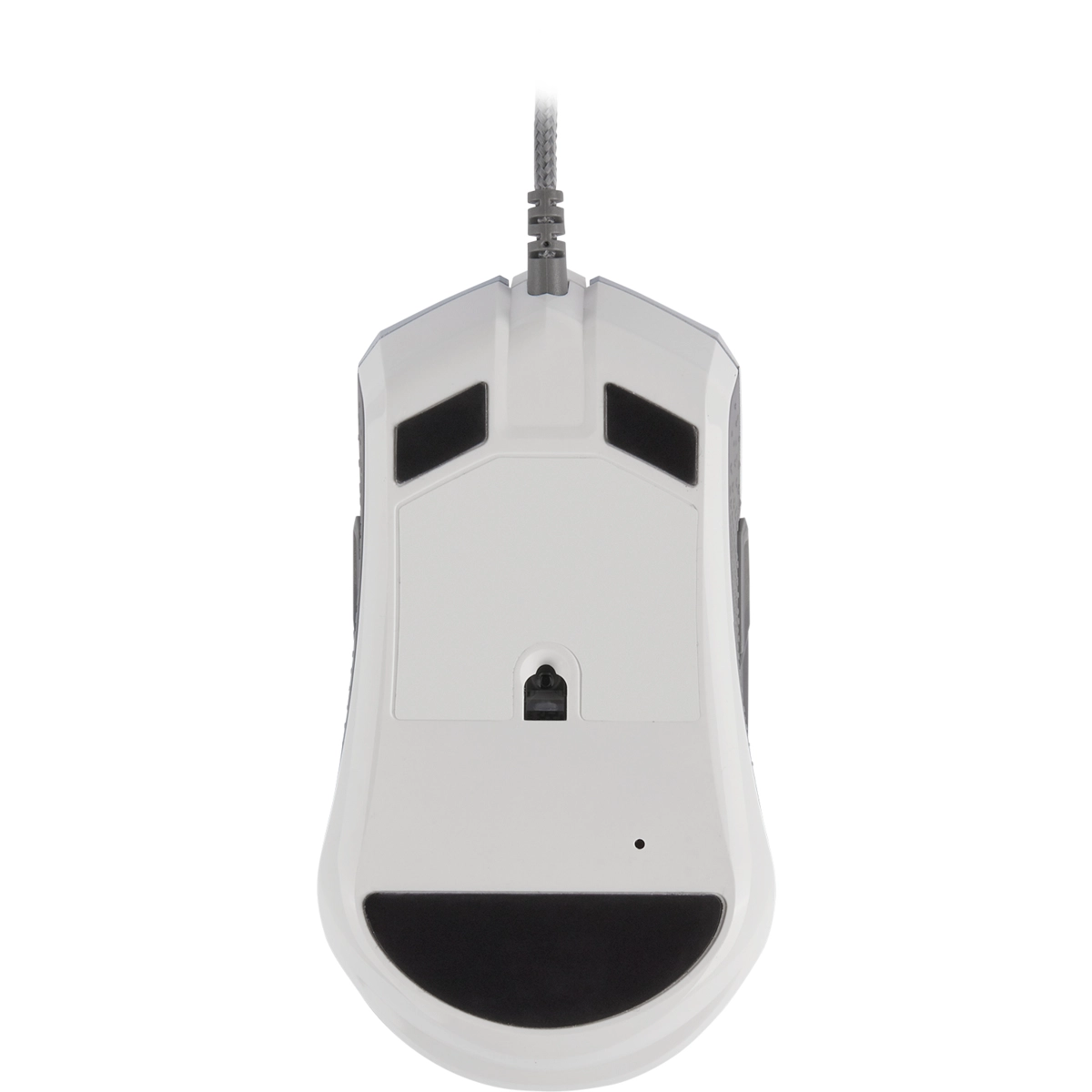 M55 Gaming Mouse - Wireless