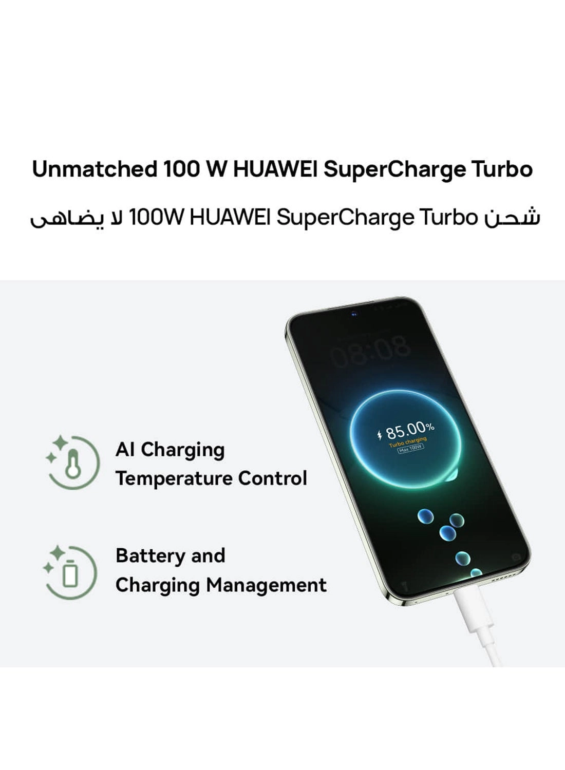 Nova 13 12GB 256GB