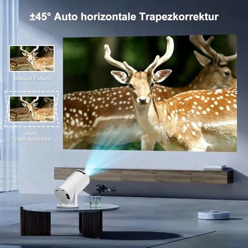 HY300pro+ 1280 x 720