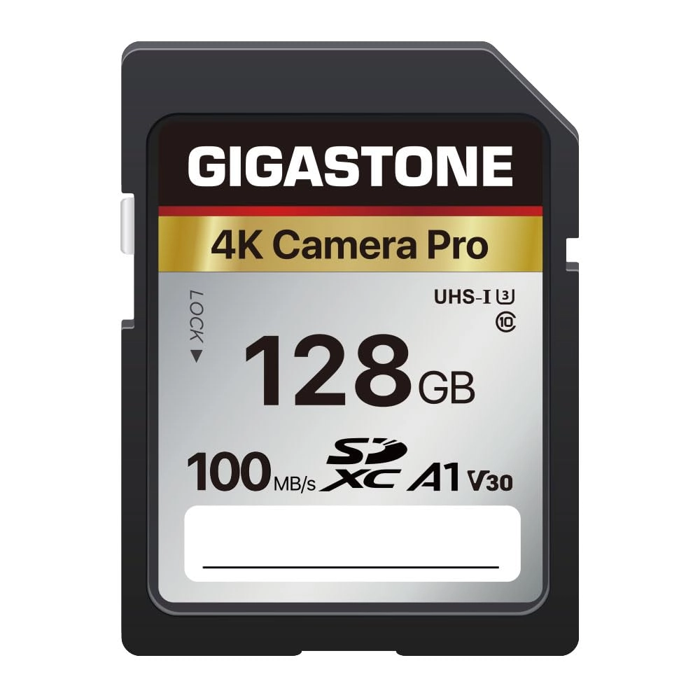 Gigastone SDXC Memory Card - 128GB + Mini Cases