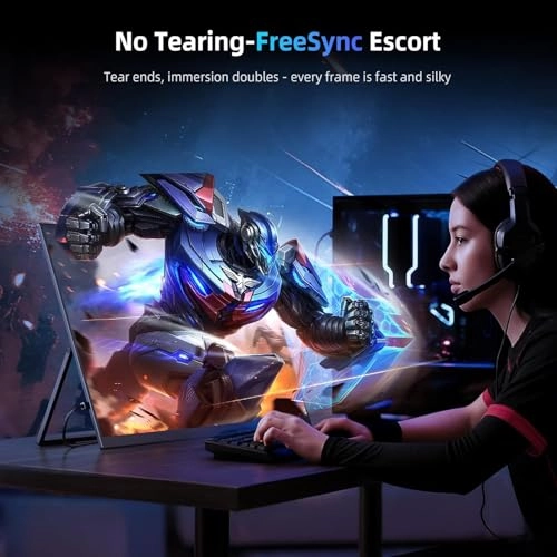 Portable Monitor - 1080P 18.5 Inch