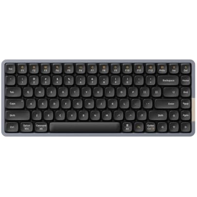 rayihni FLOW84 - US Wired/Wireless