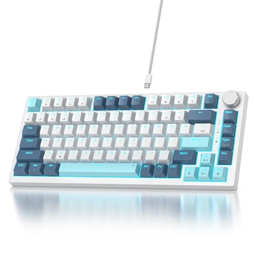75% Mechanical Gaming Keyboard - Wired