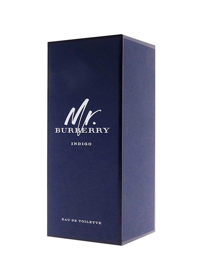MR INDIGO Eau de Toilette 100 ml