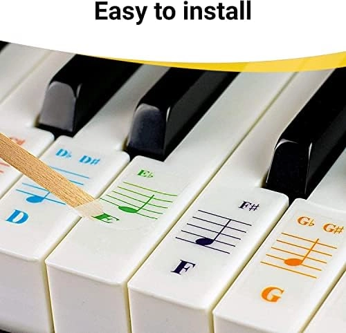 QMG Color Note Musical Toy