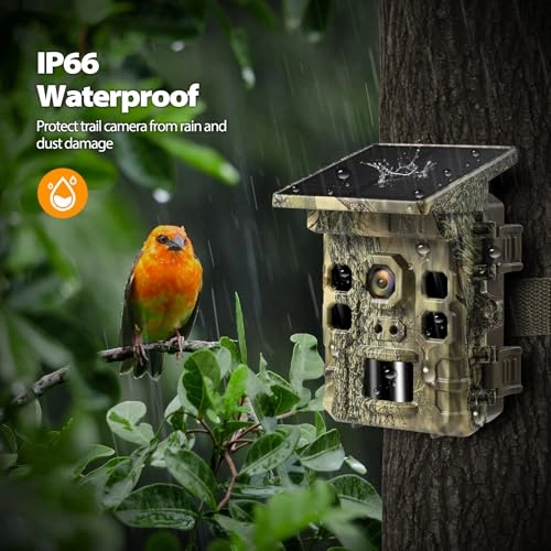 Solar Trail Camera - 32MP