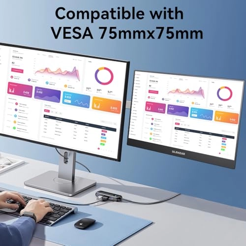 Carry Monitor - 1 15.6 Inch 1920 x 1080P