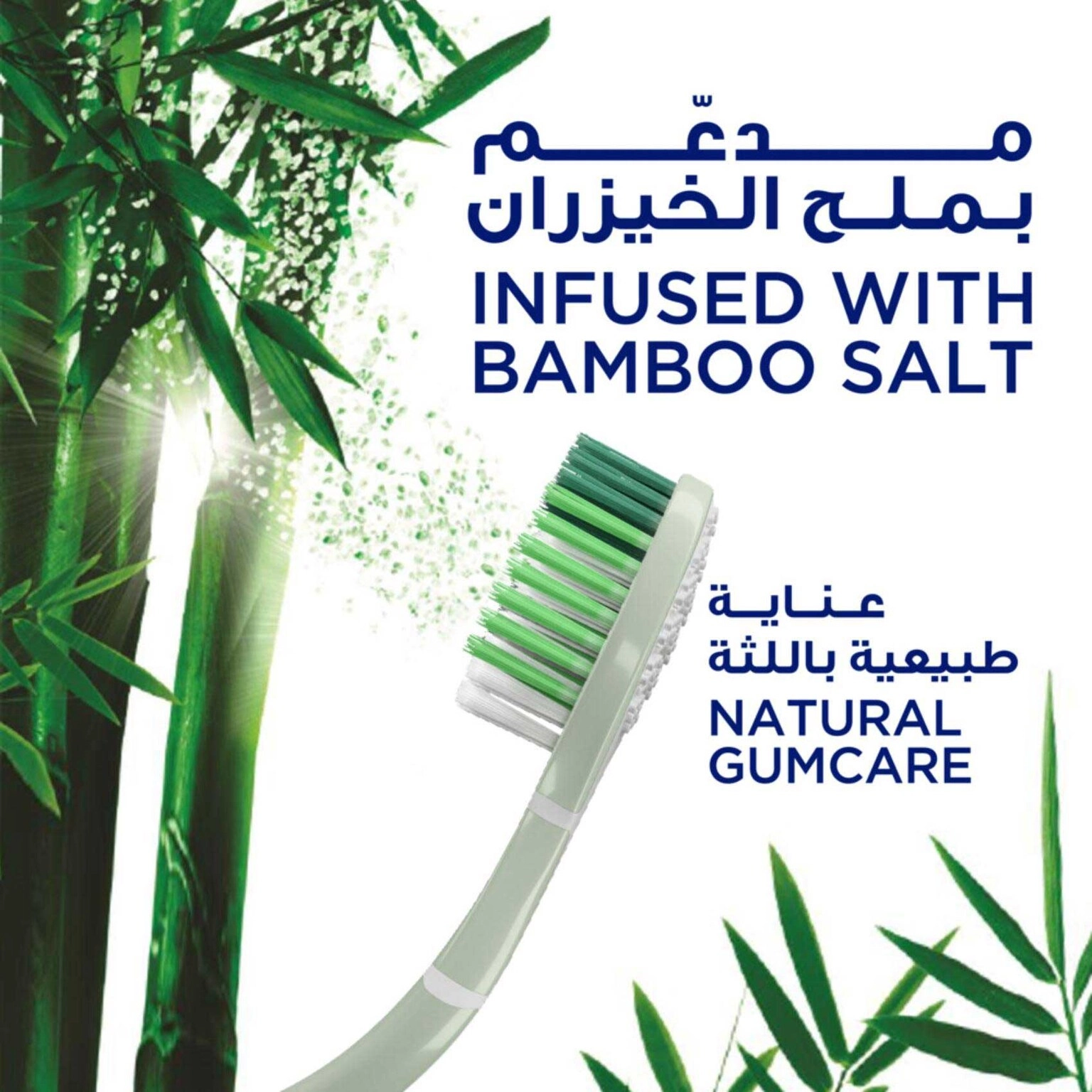 Himalayan Bamboo Salt Soft Toothbrush