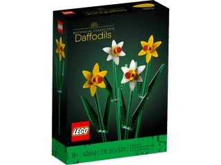Creator Daffodils Flower Set (40646)