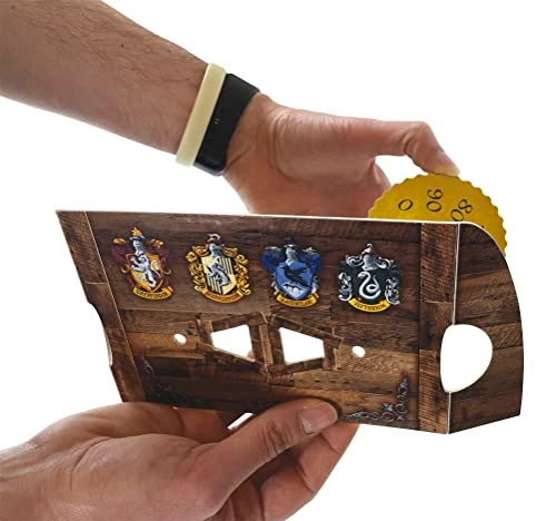 Harry Potter Quidditch Tournament