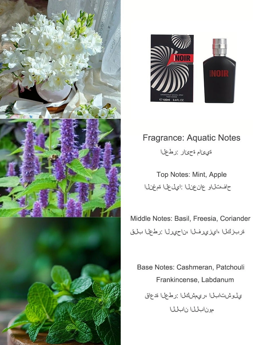 Spicy aromatic men's perfume Eau de Parfum 100ml