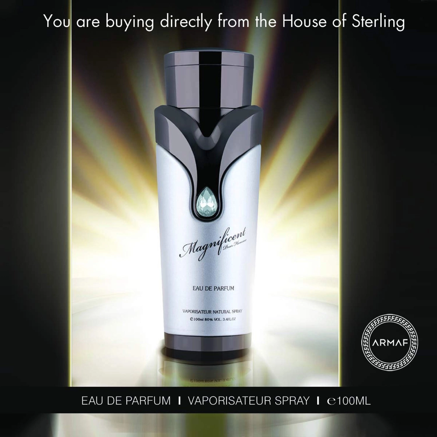 Magnificent Pour Homme - Eau de Parfum 100ml