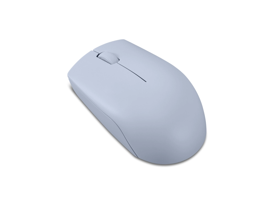 300 Compact Mouse - Wireless