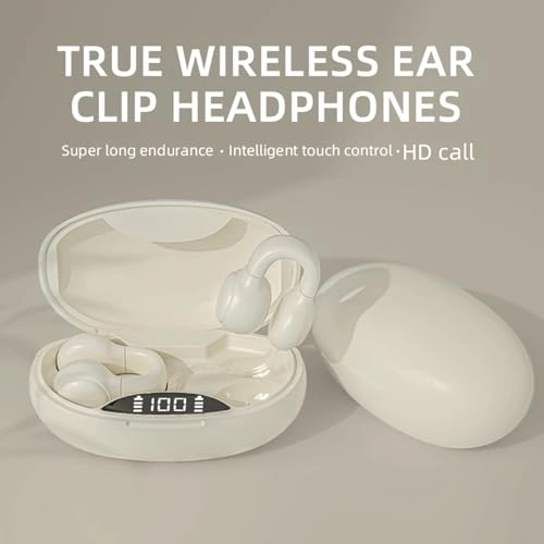 HE2BUDS36 Wireless Earbud