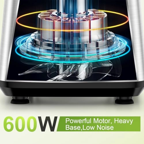E01 - 600 watts