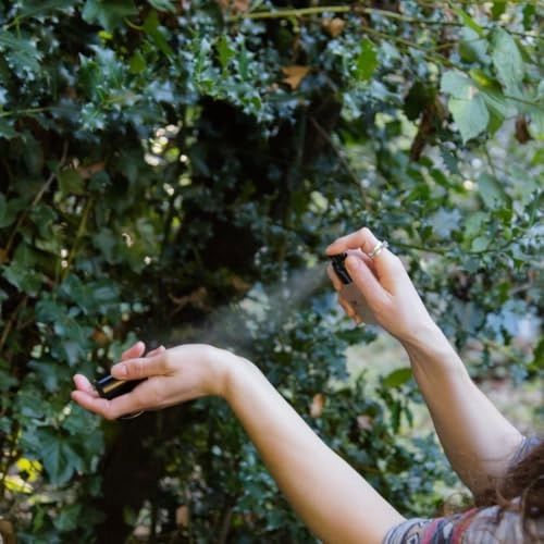 Elegance Eau de Parfum 30ml