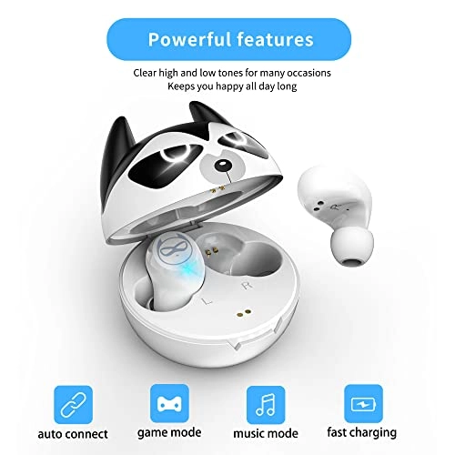 FJ-US-B82 Wireless Earbud