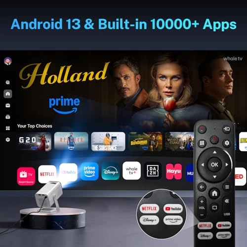 VisualCube 300 260 ANSI lumens