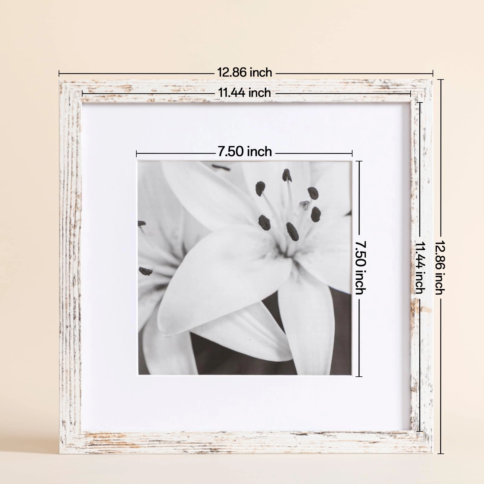 Gallery Wall Frame - 12x12 9
