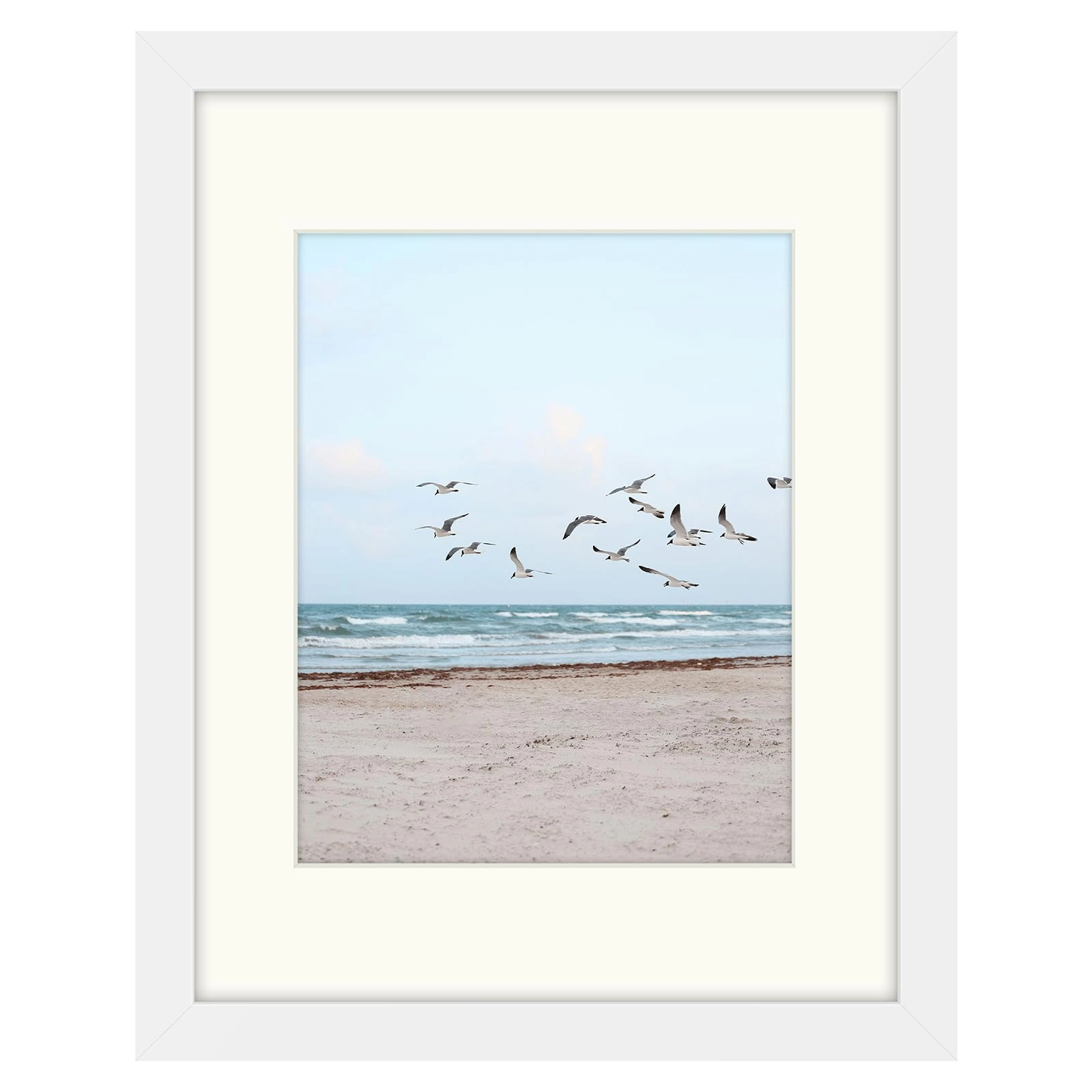 Single Picture Frame - 11x14 1 Count