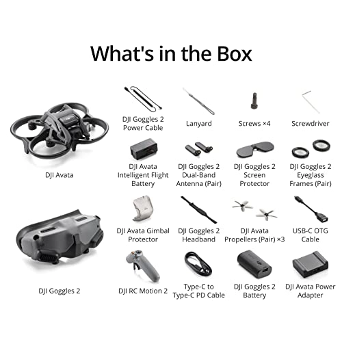 Avata Pro-View Combo - 4K