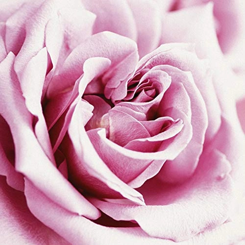 Casual - Eau de Parfum 4 Fluid Ounces