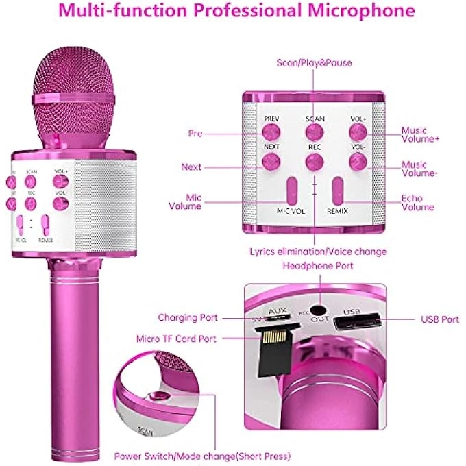rayihni Karaoke Microphone Pack