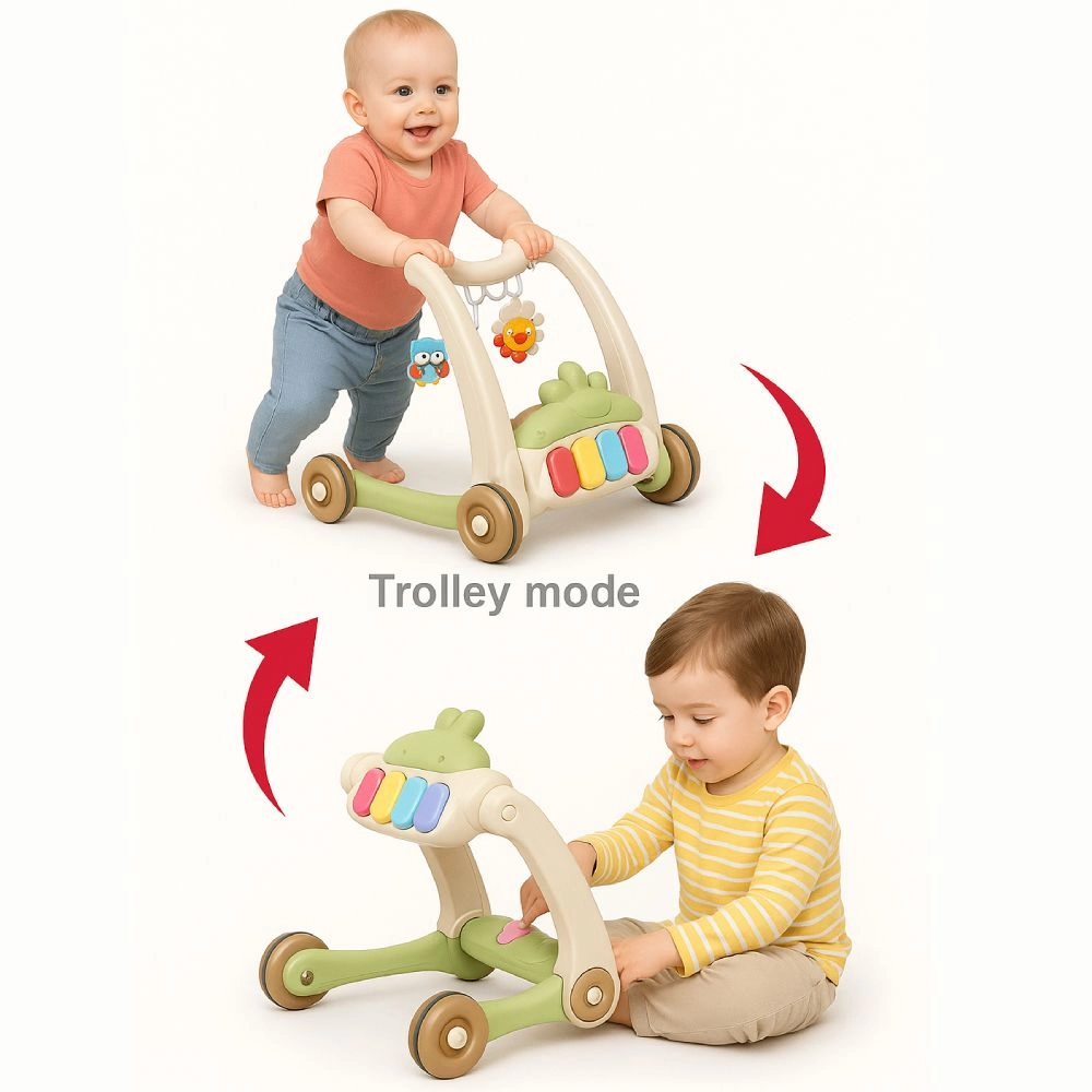 Daisy - 3-In-1 Baby Walker