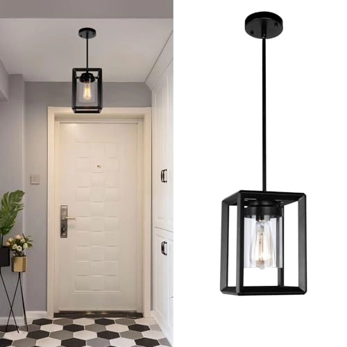 1 Light Pendant Light