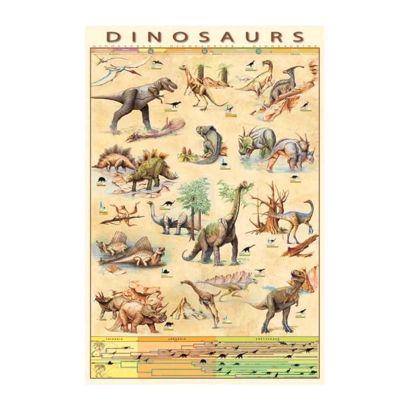 PYRAMID POSTERS Dinosaurs - High Quality Poster Paper 61 x 91 cm
