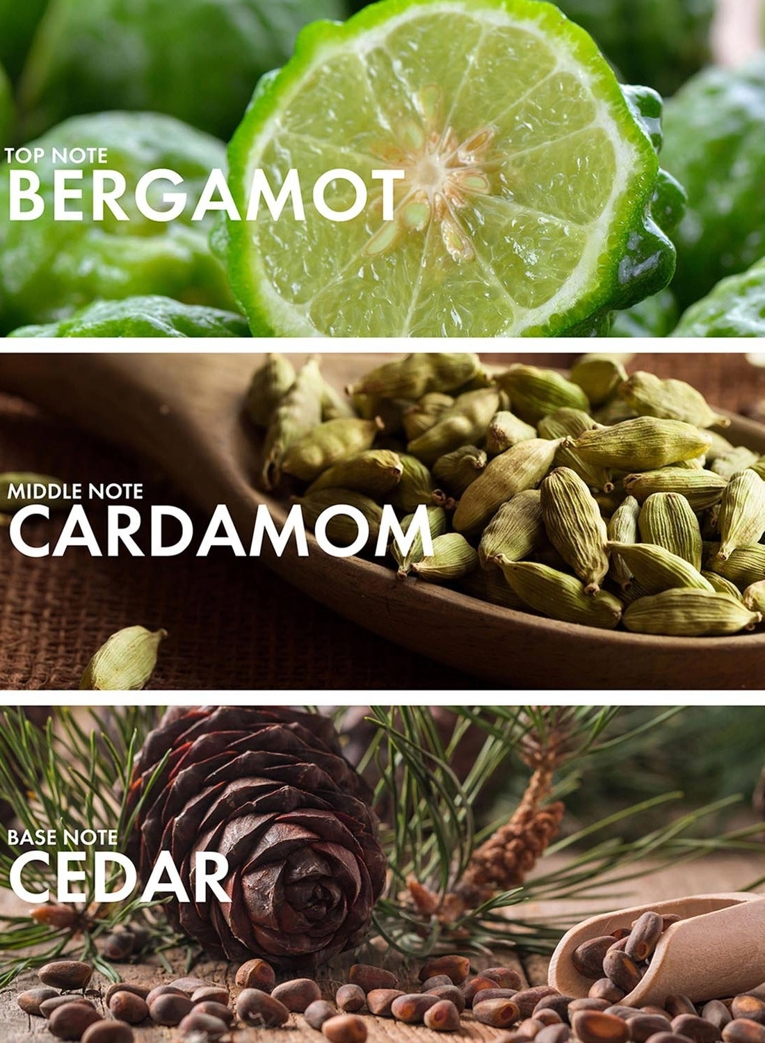 Amber Neroli Eau de Parfum 50 ml