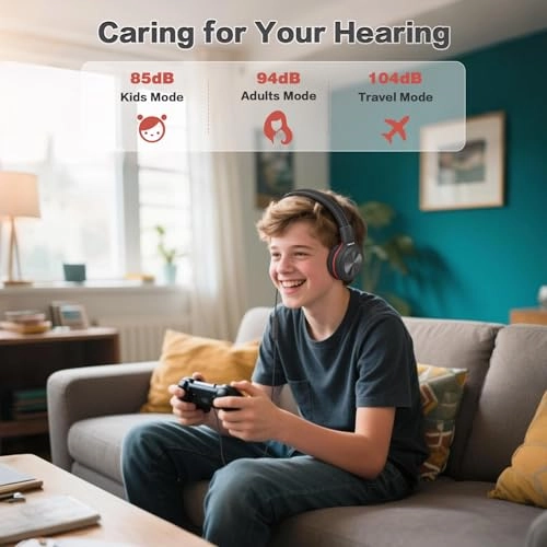 SM-904 Wired Headphone