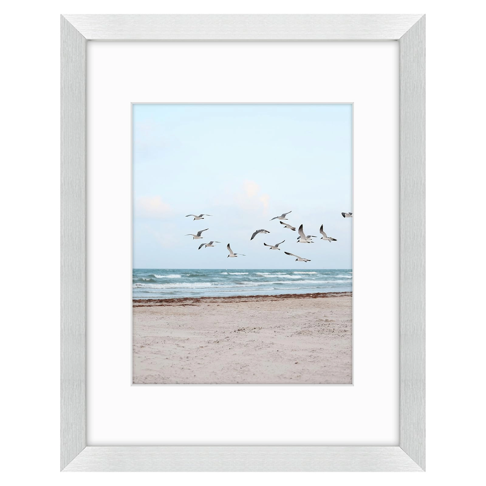 Single Picture Frame - 11x14 1 Count