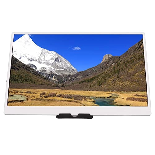 Type C External Monitor - FHD 1080p 17.3 Inches