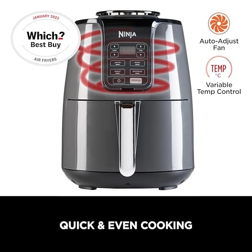 Air Fryer AF100