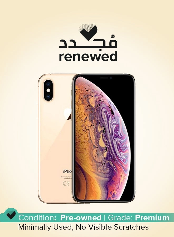 (Renewed) iPhone XS - 256GB