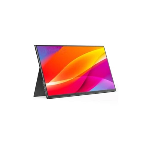 Portable Monitor - FHD 17.3-inch