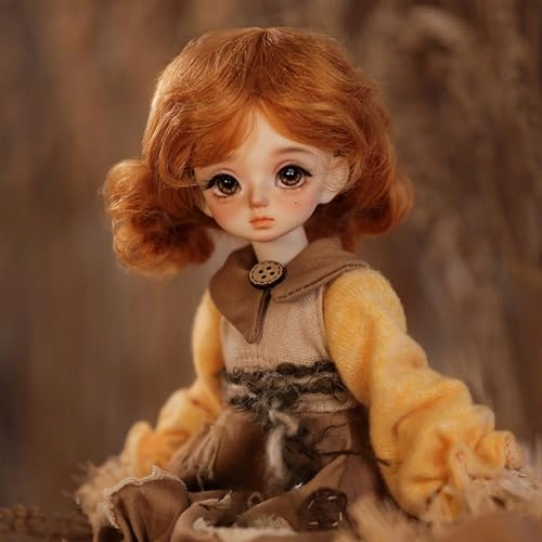 BJD Doll - 1/6 Resin Girl Ages 15+ Set
